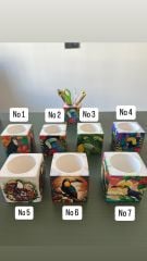 Tukan Kalemlik / Saksı